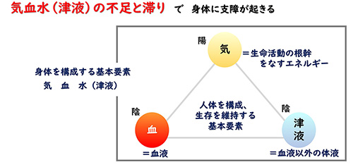 気血水の図