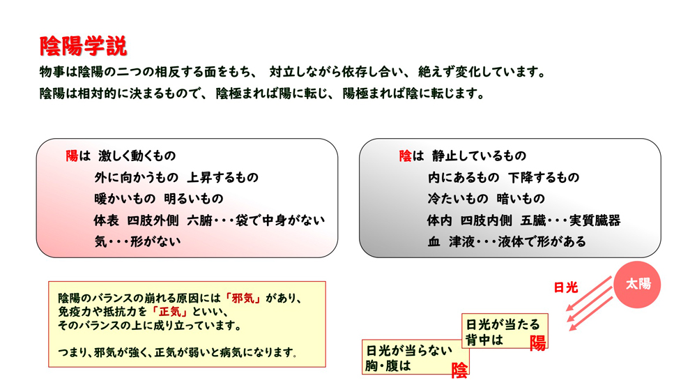 陰陽学説