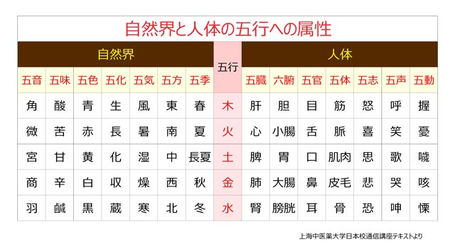 自然界と人体の五行への属性